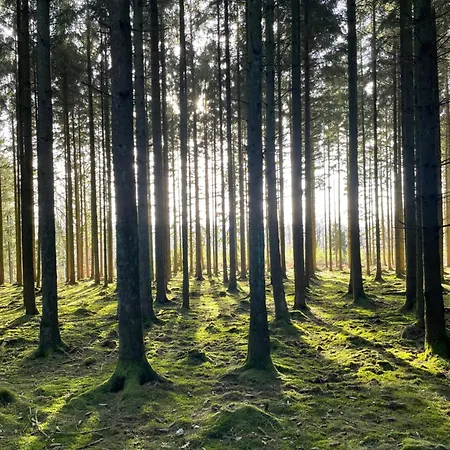 La Colline Casa vacanze *